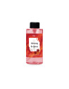Recharge Diffuseur Ginseng Épicé – Énergie Dynamique & Fraîcheur Épicée | Öora