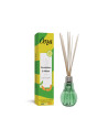 Bouquet parfumé Concombre Melon – Fraîcheur Végétale & Douceur Fruitée | Öora